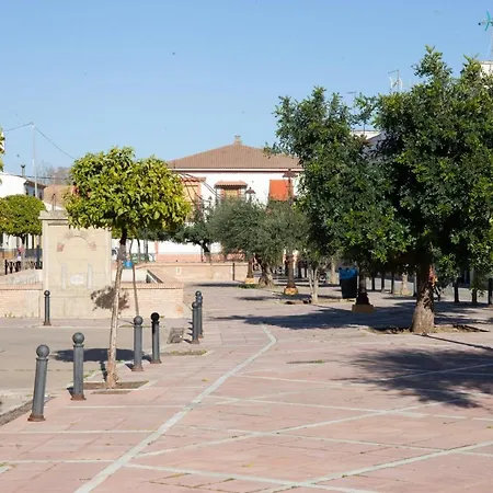 La Palmera * Almodóvar del Río