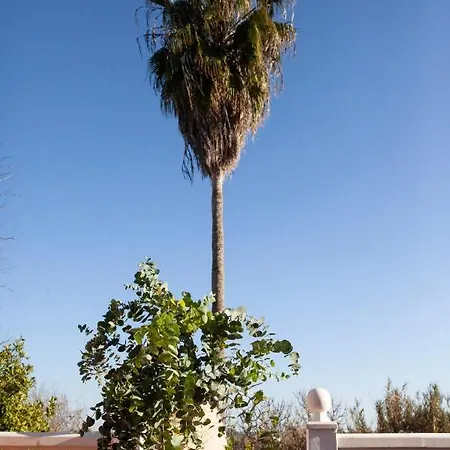 度假居 La Palmera *