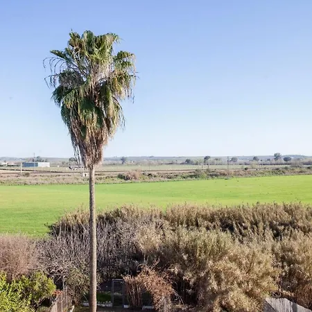 La Palmera