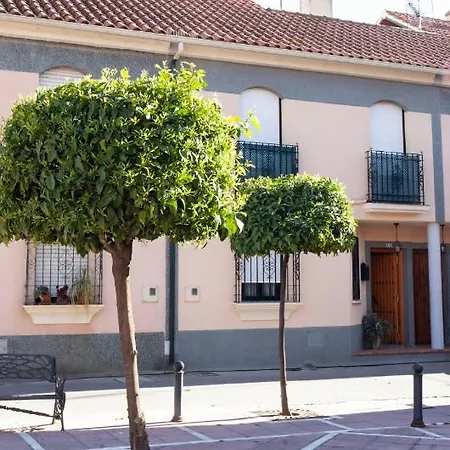La Palmera *